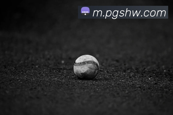 pg电子APP 高清赛事图